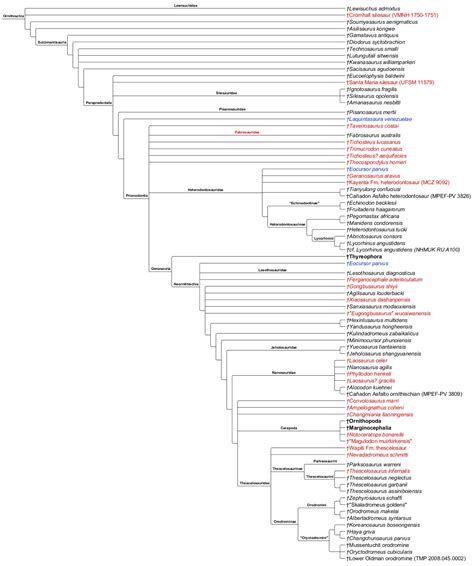 Ornithischia Cladogram by PaleoNerd1905 on DeviantArt