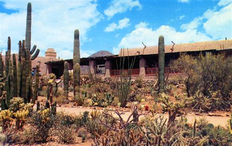 Arizona-Sonora Desert Museum Tucson AZ | a portion of the Ca… | Flickr