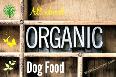 Organic Dog Food. Why It's A Better Choice.