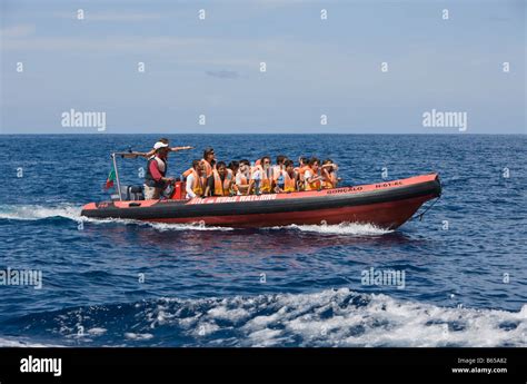 Tourists at Whale watching Tour Azores Atlantic Ocean Portugal Stock ...