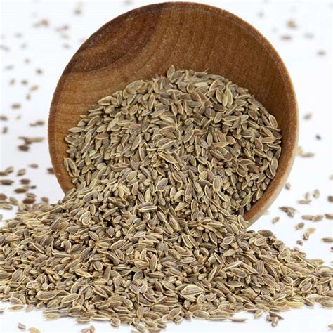 Dill Seeds | Dried Dill Seed | Buy Bulk Spices | Gourmet Spices