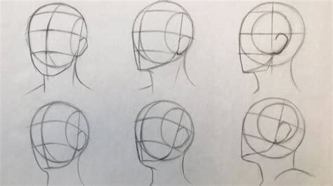 How to Draw Head in different angles using Andrew Loomis method Part 2 ...