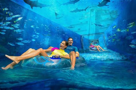 Entrada al parque acuático Atlantis Aquaventure de Dubai | GetYourGuide