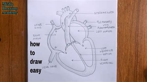 human heart drawing simple - Avis Wallen