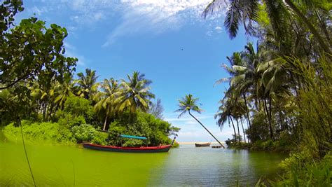 Tropical Beach River Mouth Lagoon Stock Footage Video (100% Royalty ...