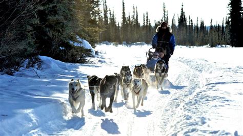 Celebrate Winter in Fairbanks | Travel Alaska