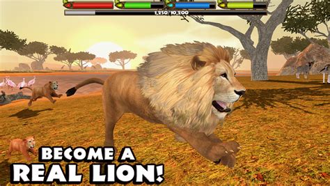 App Shopper: Ultimate Lion Simulator (Games)