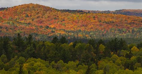 Vibrant Fall foliage in Algonquin Park, Ontario, Canada | Flickr