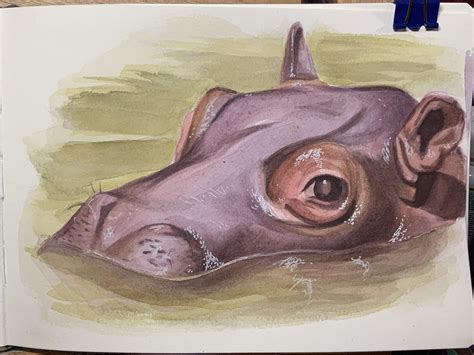 House Hippo by Me! : r/Watercolor