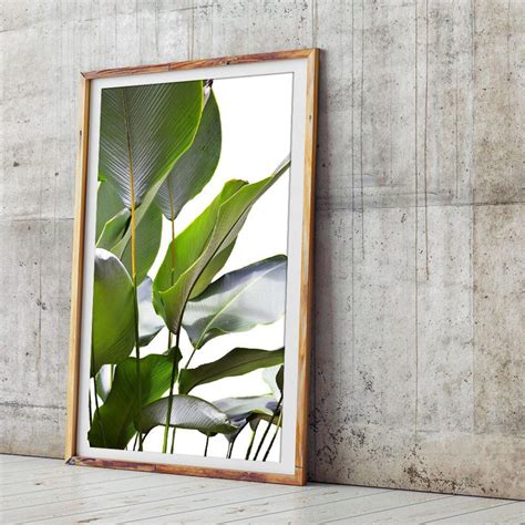 Banana Leaf Print Banana Leaves Photography Tropical Print | Etsy