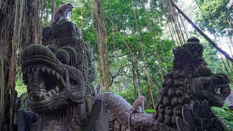 Ubud Monkey Forest: The Sacred Monkey Sanctuary in Bali - YouTube