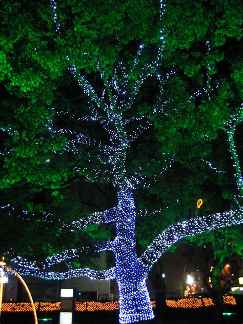 Christmas tree lights, Peace Boulevard | Ruth Hartnup | Flickr