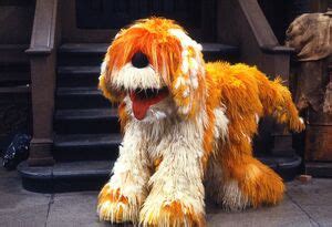 Barkley | Muppet Wiki | FANDOM powered by Wikia