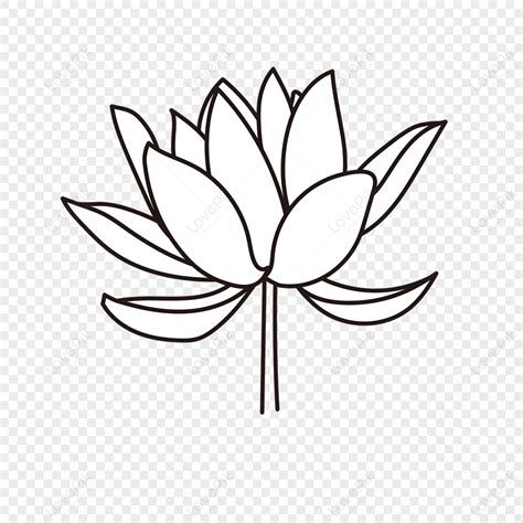 A Lotus Flower Clipart Black And White,lotus Drawing,lotus Sketch Free PNG And Clipart Image For ...