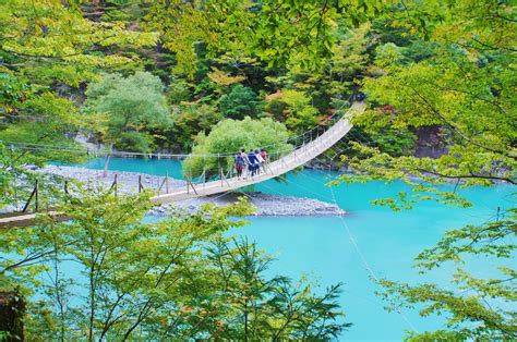 10 Best Things to Do in Shizuoka - Japan Web Magazine