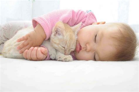 What's cuter than a baby? These videos of babies with kittens – Film Daily
