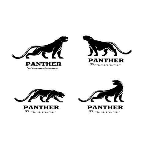 set collection premium black panther vector logo illustration design ...