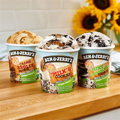 Ben & Jerry's Is Releasing 3 New Dairy-Free Flavors