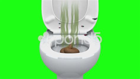 Poop On Toilet Seat