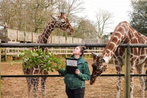 ZSL Whipsnade Zoo completes its annual stocktake | Discover Animals