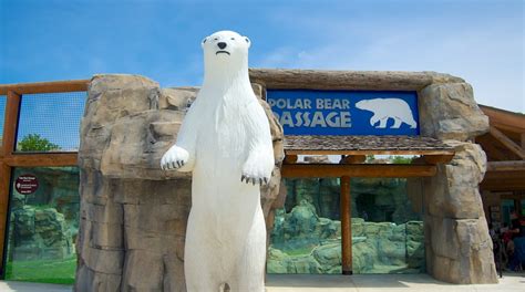 Kansas City Zoo Tours - Book Now | Expedia