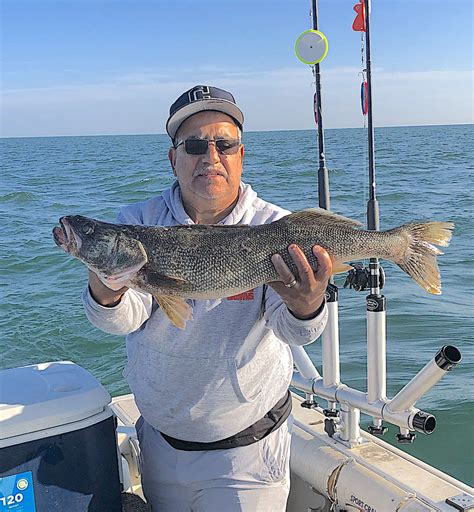 Lake Erie walleye: A need for speed to catch your limit — July 19 Fishing Report - cleveland.com