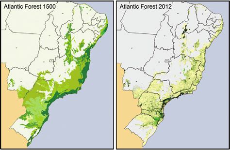 Brazilian territorial surface occupied by the Atlantic Forest: map... | Download Scientific Diagram