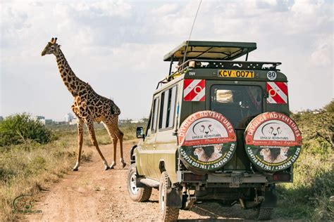 Ultimate Guide to Nairobi National Park