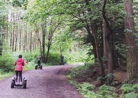 Go Ape Delamere Forest - Where To Go With Kids - Cheshire