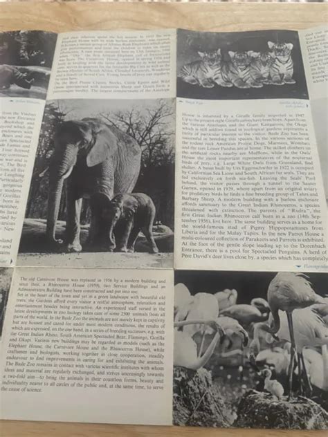 ZOO BASEL LATE 1960s Map/Leaflet (not Zoo Guide Book) - English Language £2.99 - PicClick UK