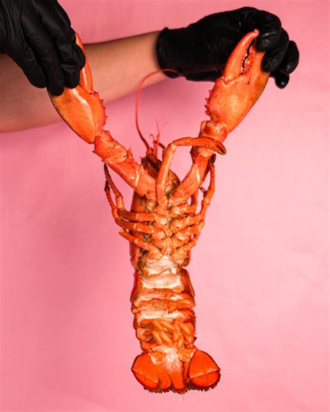 Whole Lobster (Cooked)