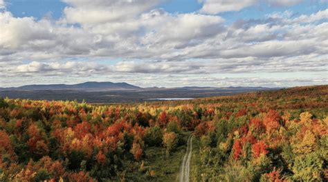 ULTIMATE 2024 Maine Fall Foliage Map + Peak Prediction Guide