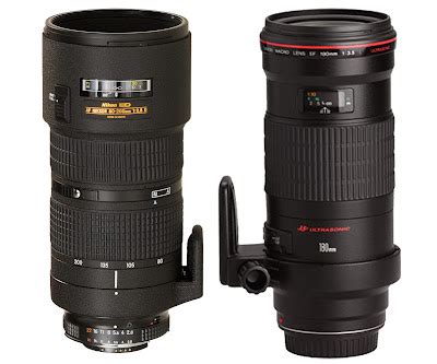 School Of Digital Photography: Complete Guide to Choosing Macro Lenses