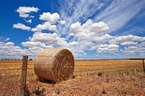 The end of arable farming in the Garden of England? South East 'could become too hot and dry' to ...