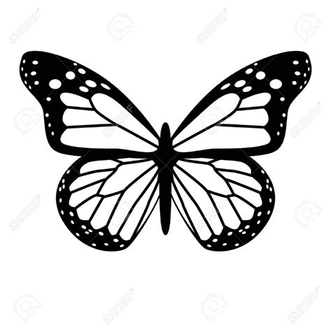 A Black And White Vector Butterfly Royalty Free Cliparts ... Butterfly Clip Art, Butterfly ...