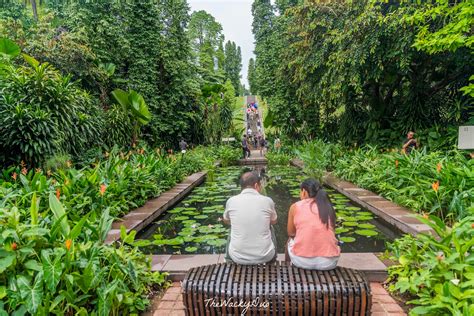 The Istana Singapore Open House Guide : 16 Must do activities ...