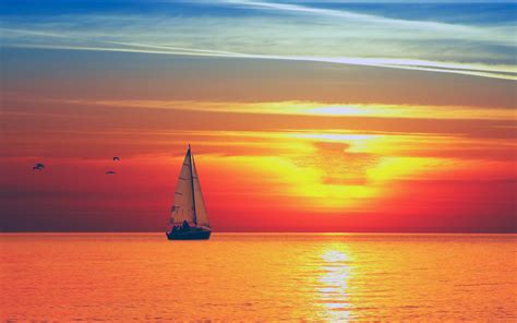 Sunset Over The Sea Sunlight Red Sky Sailboat Sailing On The Open Sea Birds In Flight Hd ...