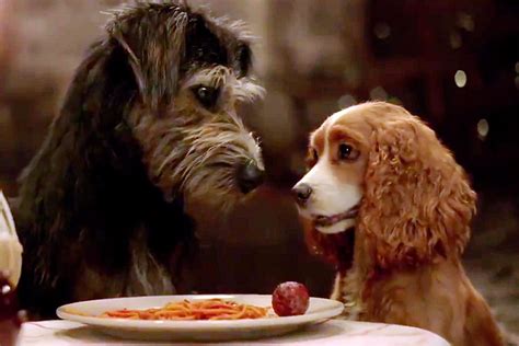 First live-action Lady and the Tramp trailer released by Disney+ | EW.com