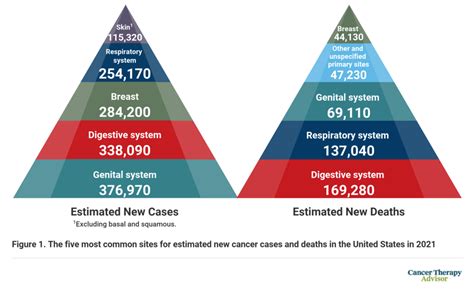 American Cancer Society 2021 Statistics Report Shows Continuous Decline in Cancer Mortality Rate ...