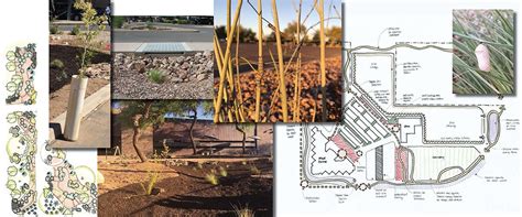 Water Conservation and Stormwater Management | Maricopa County, AZ