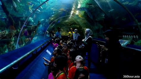 Aquaria KLCC – Discover, Learn, Experience at state-of-the-art aquarium ...