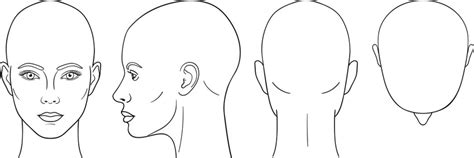Human Head Drawing Template