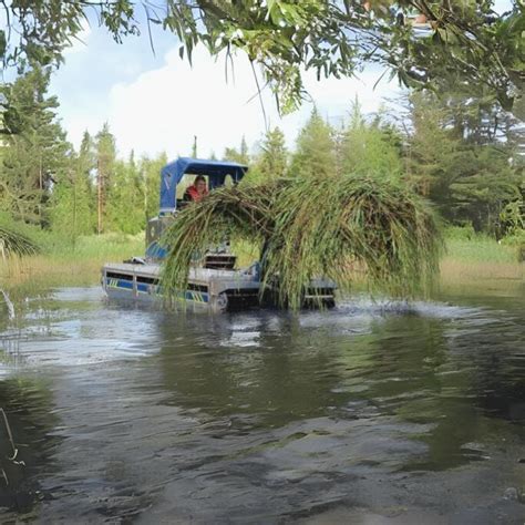 Aquatic Weed Removal from Lakes - Clear Waterways and Wetlands