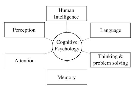 Cognitive Revolution History, Pioneers & Contributions - Lesson | Study.com