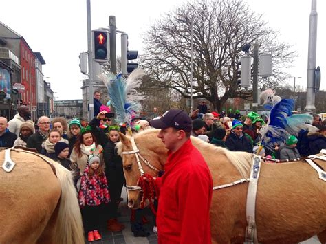 horses - Galway Daily