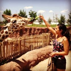 El Paso Zoo - Aquariums - El Paso, TX - Yelp