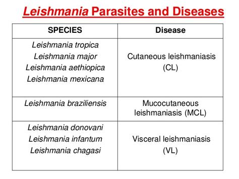 Leishmaniasis