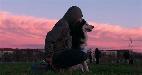 Dogs Netflix Show Review - Dogs Uses Man's Best Friend to Reveal the ...