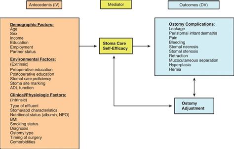 Stoma Complications | Nurse Key