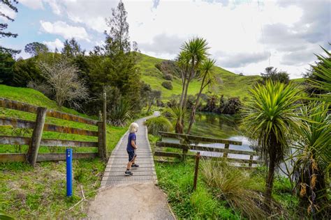 Putaruru Blue Springs: Te Waihou Walkway - Waikato's best kept secret.